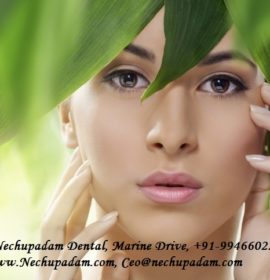 Dr.Nechupadam Dental, Marine Drive Treatment OutlineDr.Nechupadam Dental, Marine Drive Treatment Outline