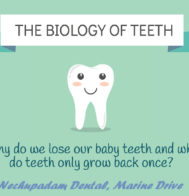 Why Do We Lose Our Teeth?
